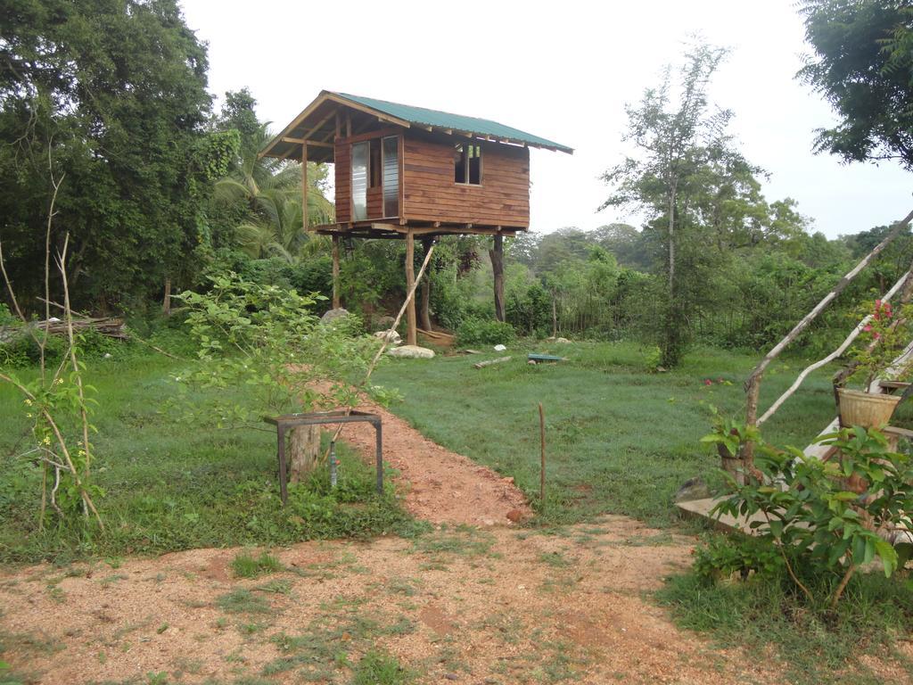 Sigiri Forest View Sigiriya Buitenkant foto