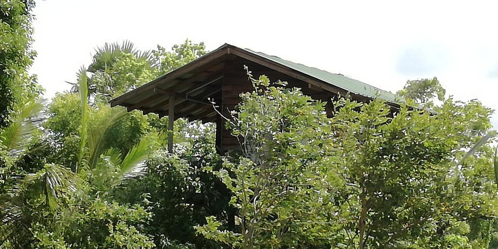 Sigiri Forest View Sigiriya Buitenkant foto