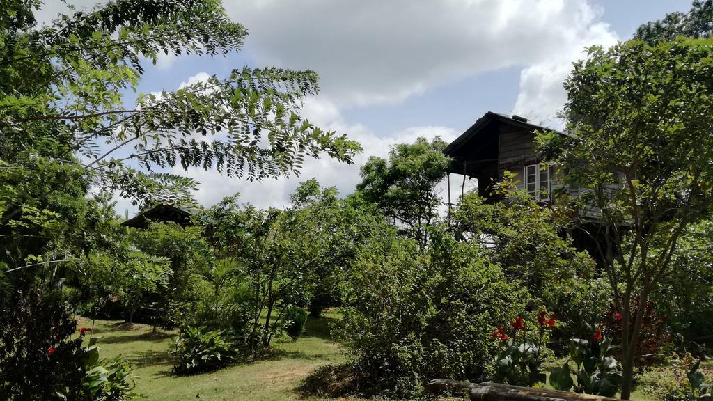 Sigiri Forest View Sigiriya Buitenkant foto